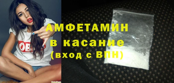 молекула духа Пересвет