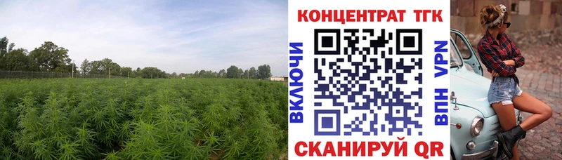 blacksprut как войти  Белебей  ТГК концентрат 