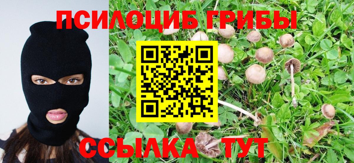 Альфа ПВП Белебей