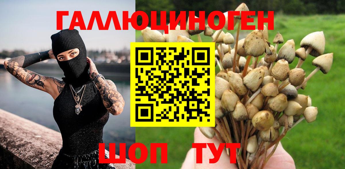 Псилоцибиновые грибы мицелий  магазин    Галлюциногенные грибы мицелий  Белебей 